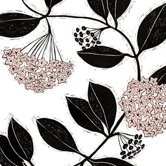 Hoya Carnosa Art Print: 11"x14"