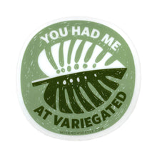  Sticker - You Had Me at Variegated