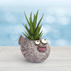 Twyla Karp Fish Blobhouse Planter
