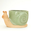 Snail Planter - Lagoon: M