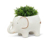 Large Elephant Planter-6x10"L
