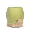 Tall Green Turtle Planter-5"H