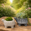 CEMENT TURTLE PLANTER IN BLACK