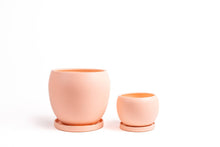  8"+12" Nested Bollé Pots w/Water Saucers - 2pc/cspk: Blush