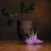 Flicker the Baby Dragon Blobhouse Planter