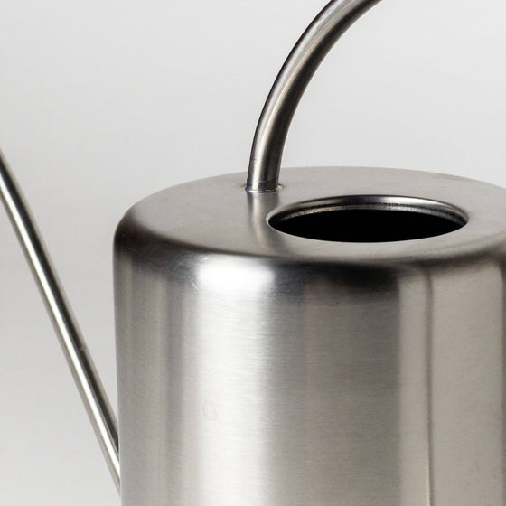 2L Stainless Steel Watering Can: Silver