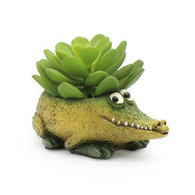  Baby Alligator, 'Kicks' Mini Blobhouse Planter
