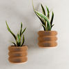Hanging TRIPLE BUBBLE Wall Planter: Natural Wood / Small