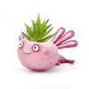 Alexander Axolotl Baby Salamander Blobhouse Planter