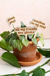 Retro Funny Wooden Plant Markers: Crazy plant lady