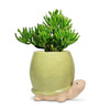 Tall Green Turtle Planter-5"H