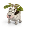 Petunia Dog Blobhouse Planter
