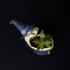 Winifred the Witch Blobhouse Halloween Planter