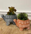CEMENT RED TURTLE PLANTER: Large