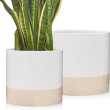  Ceramic Planters - White & Beige Plant Pots