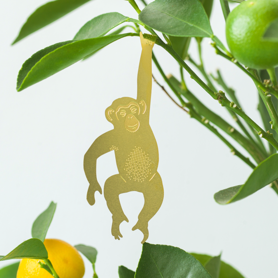 Plant Animal - Chimpanzee, garden decor