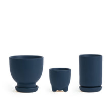  Plant Junkie Set - 16 pc/cspk: Midnight