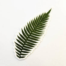  Fern Leaf Vinyl Plant Sticker