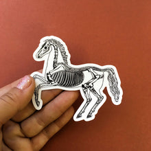  Skeleton Horse Sticker