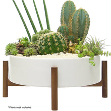  White Ceramic Succulent Pot with Wood Stand