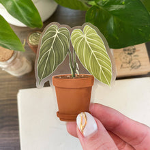  Philodendron Melanochrysum Sticker