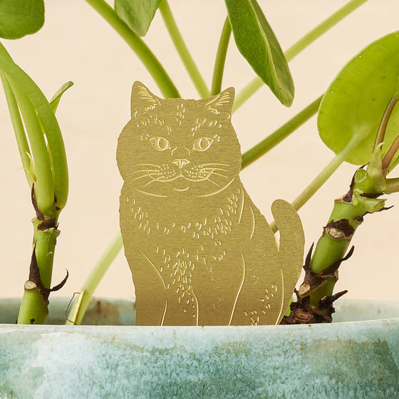 Cat Plant Animal Pet