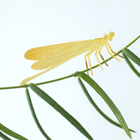 Plant Animal - Damselfly, insect plant accessory