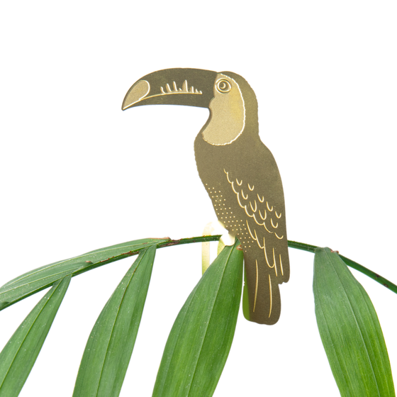 Plant Animal - Toucan, cute botanical decoration