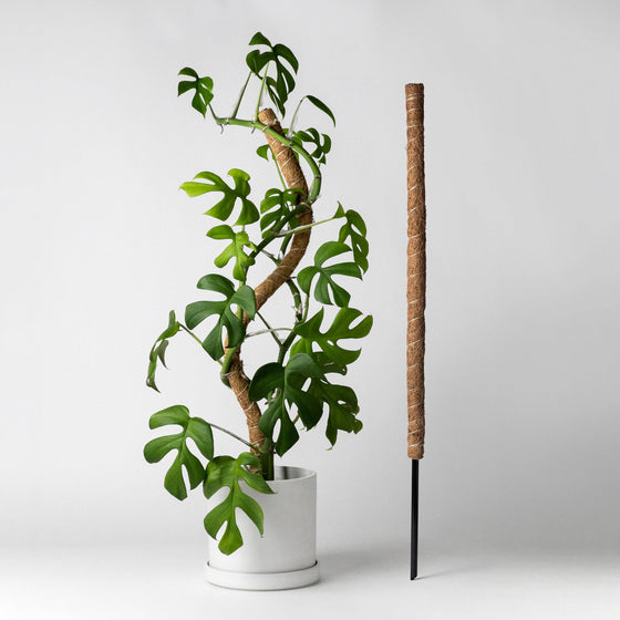 24"/32"/40 Bend & Stackable Coco Coir Pole for Plant Support: 40" Bendable Pole With Metal Stake