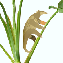  Plant Animal - Anteater, house plant accessory