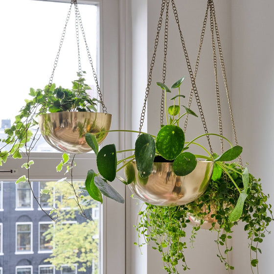 Hanging Planter - Gold