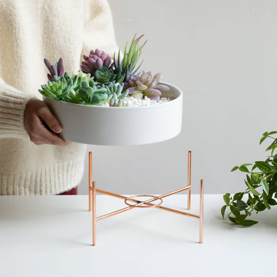 Round Succulent Planter Bowl with Rose Gold Stand