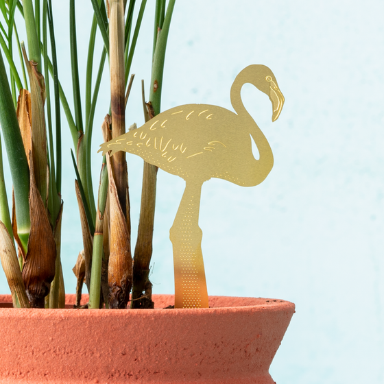 Plant Animal - Flamingo, tropical terrarium decoration