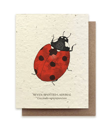  Seven-Spotted Ladybug Plantable Wildflower Seed Card