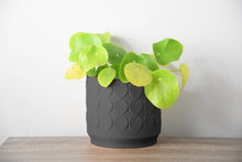  The Heart Pot in Black: 5 / With Drip Tray