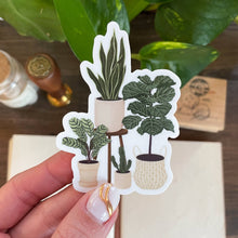  Plant Family Sticker