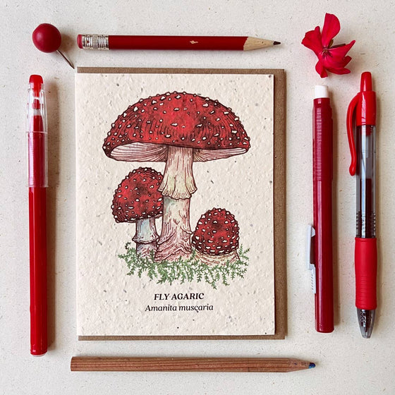 Fly Agaric Mushroom Plantable Wildflower Seed Card: Glassine Sleeves Fly Agaric Mushroom Plantable Wildflower Seed Card: Glassine Sleeves