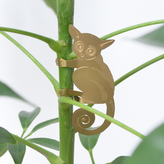 hanging planter animal Plant Animal