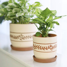  White Clay Horizontal Leaf Planter, 4"/6"/7" Terracotta Pot