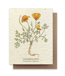  California Poppy Plantable Wildflower Seed Card