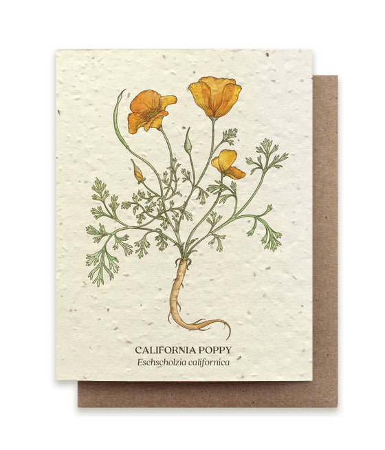 California Poppy Plantable Wildflower Seed Card