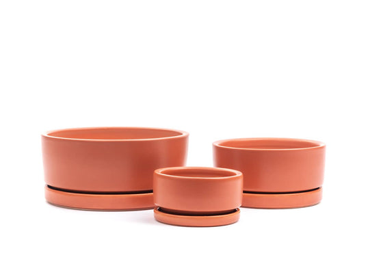 4.5" Gemstone Low-Bowls with Water Saucer: Rust