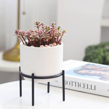  4" Solid White Ceramic Planter with Black Metal Stand