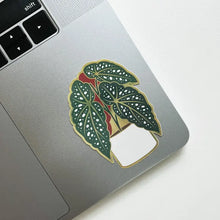  Sticker - Begonia