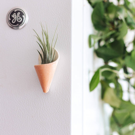 Tiny Ceramic Magnet Planter