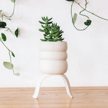  High Rise Wiggle Planters