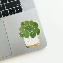  Sticker - Pilea