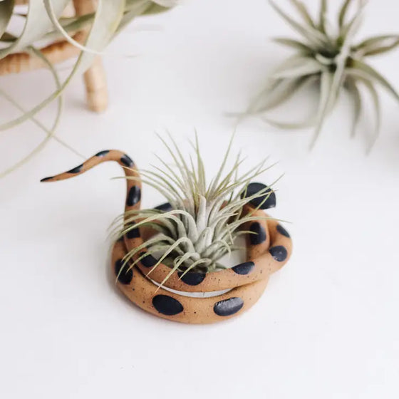 Medium Ceramic Snake