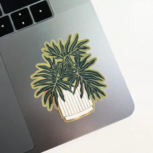  Sticker - Spilt - Leaf Philodendron