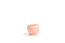  6" Bollé Pots w/Water Saucer: Blush